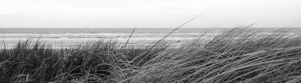 SACO SHIPPING LINE Limited | NVOCC Carrier